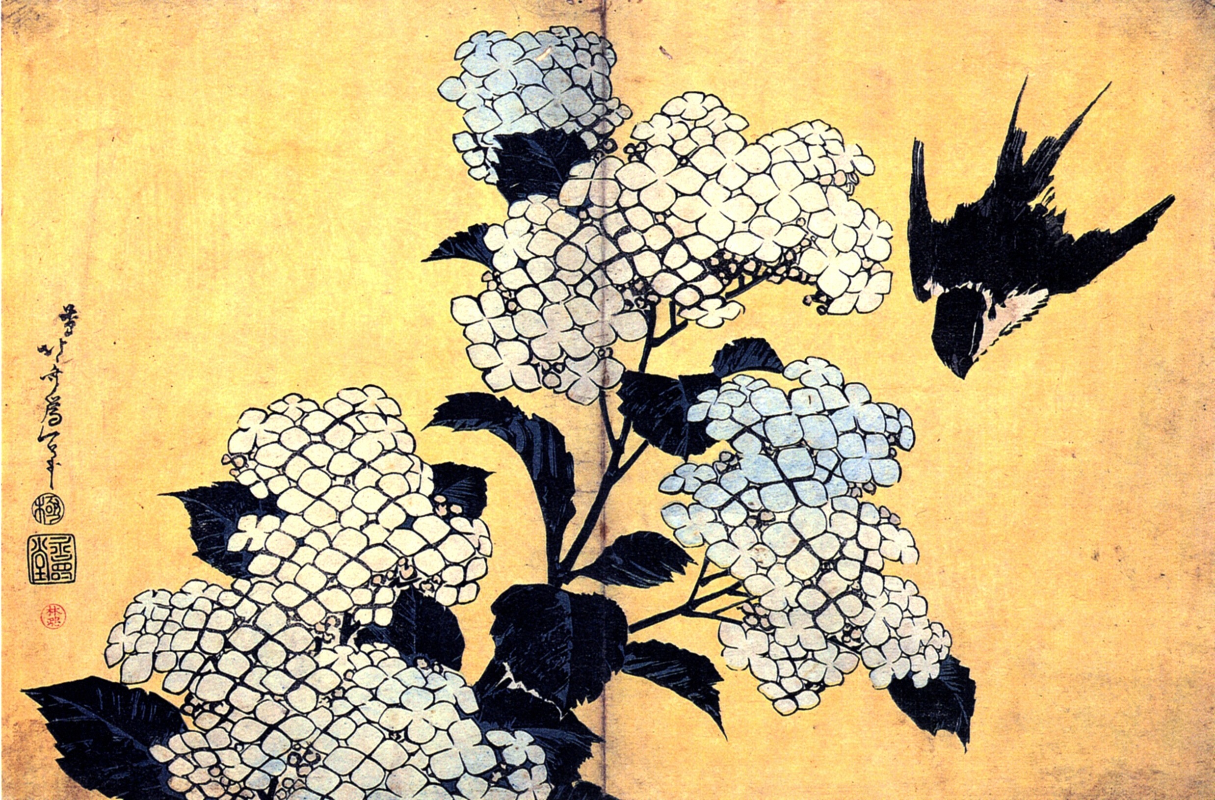 hydrangea-and-swallow.jpg