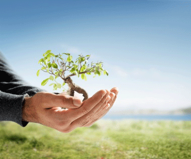 Generosity-2.gif