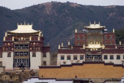 Le jeune homme a été initié au bouddhisme par sa mère. Il rejoindra vendredi un monastère.