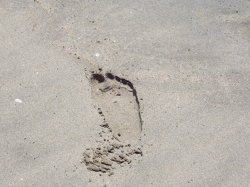 A stepfoot in the sand