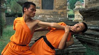 Shaolin-kung-fu--330x185.jpg