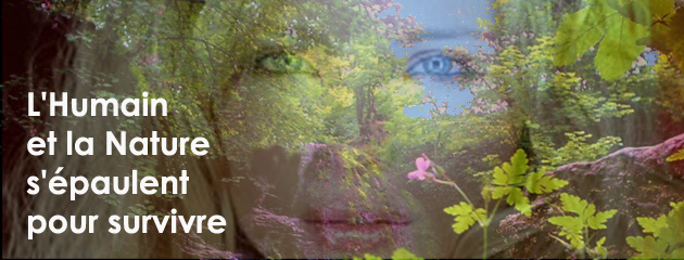 Moi et la nature, de la dualité à l'Unité Moi et la nature, de la dualité à l'Unité