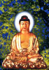Buddha_nature.jpg