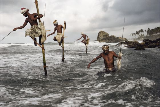 Pescadores en la Costa Sur de Sri Lanka, en Weligama. Subidos a postes de madera de tres o cuatro metros y con una barra perpendicular, denominada ‘petta’, en la que se sientan, pescan arenques y caballas. / STEVE McCURRY
