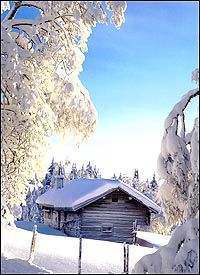 Neige_finlande.jpg