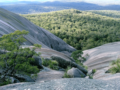 Nature-BoundAustralia1Lg.gif