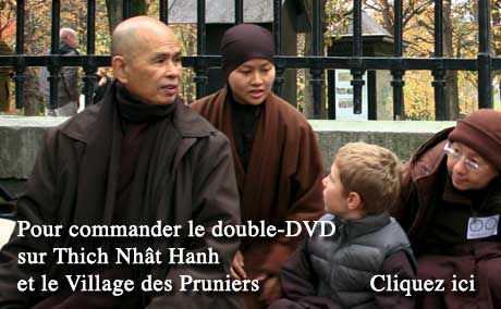 dvd-thich-nhat-hanh-64e85.jpg