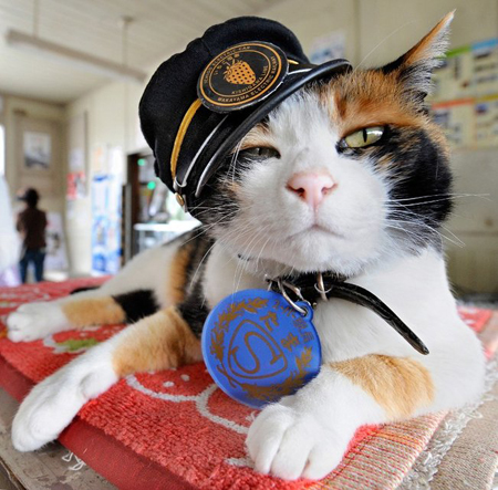 L'entreprise ferroviaire régionale, Wakayama Electric Railway, déficitaire, avait perdu son dernier employé humain en avril 2006. Image: AFP