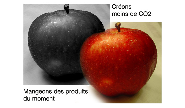 Pomme_CO2.jpg