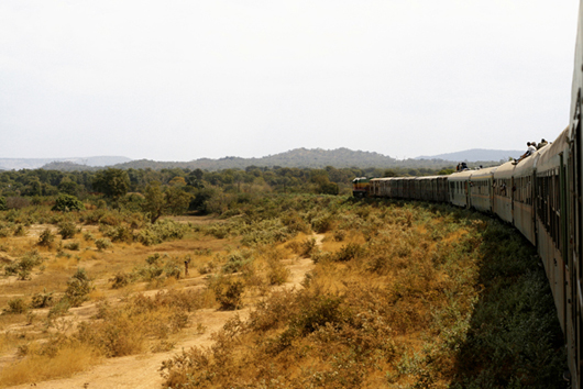 Le train du Niger