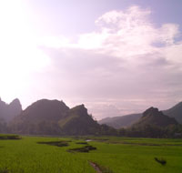 Rizières au Vietnam