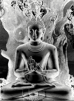 bouddha_meditation.gif