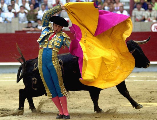 bullfighting.jpg