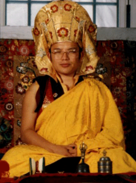 Tai_situ_rinpoche.gif