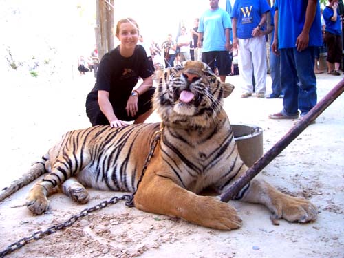 Touriste avec Tigre