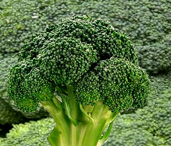 brocoli.jpg