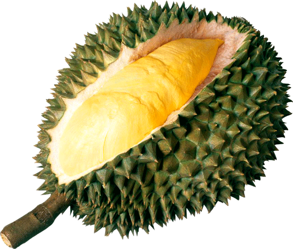 durian.gif