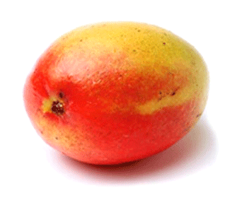 mangue.gif