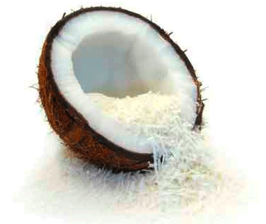 noix-de-coco.gif