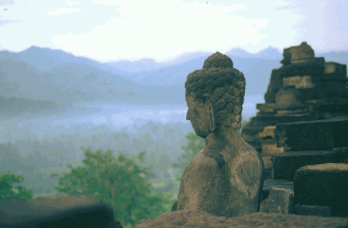 buddha-meditation.gif