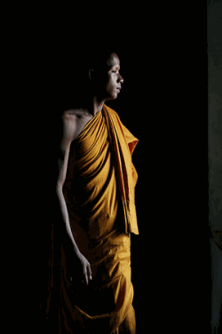 Buddhist_Monk_by_serhatdemiroglu_250_x_375_.gif