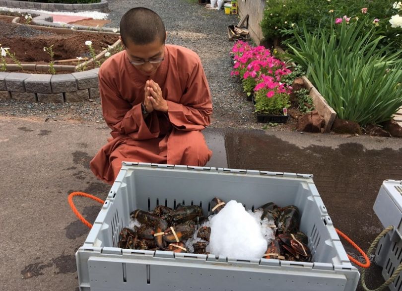 monks-free-lobsters-810x586.jpg